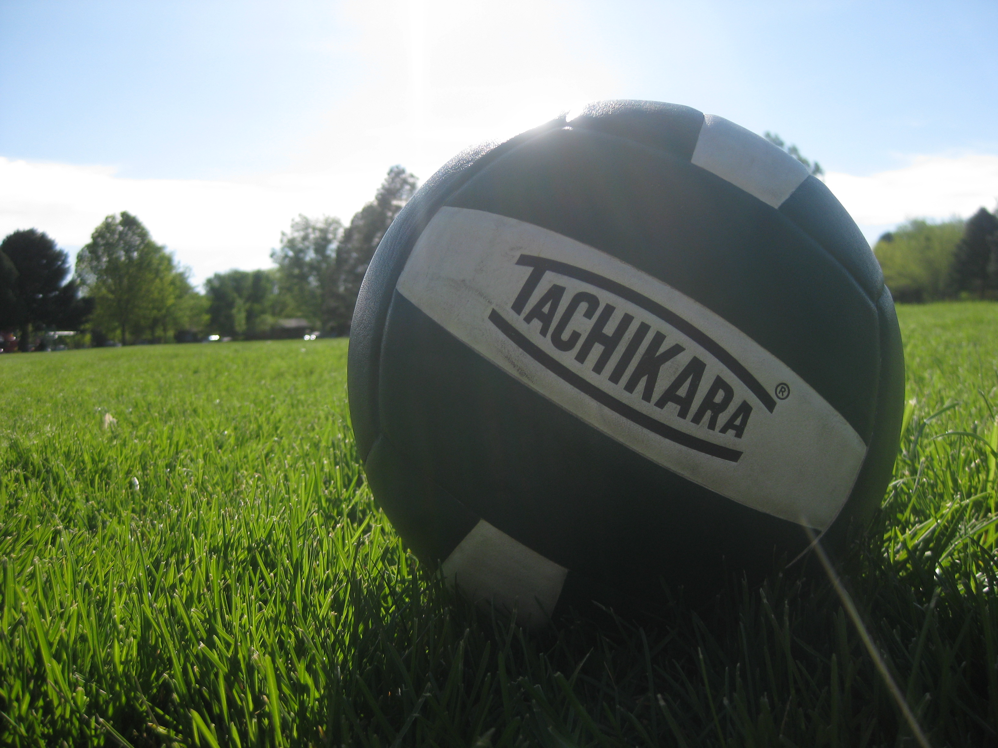 Green Volleyball in the grass at a park